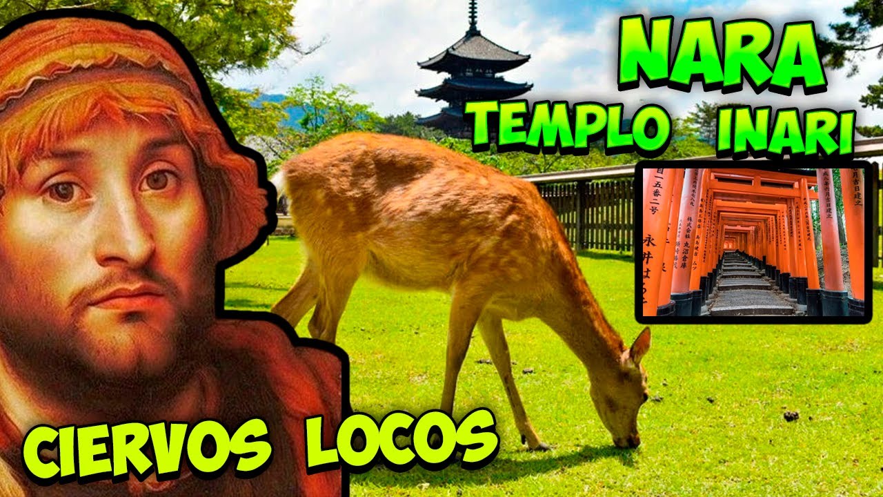 Ciervos zombis y spam de Toris - Nara, Inari (Kioto) - [9/15]