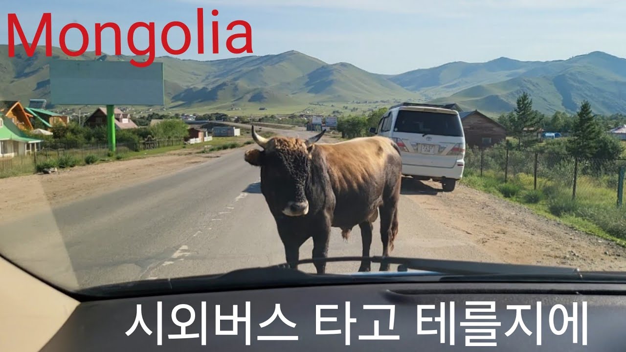 몽골 한달살기 ㅡ 시외버스 타고 테를지에 Terelj National Park in Mongolia