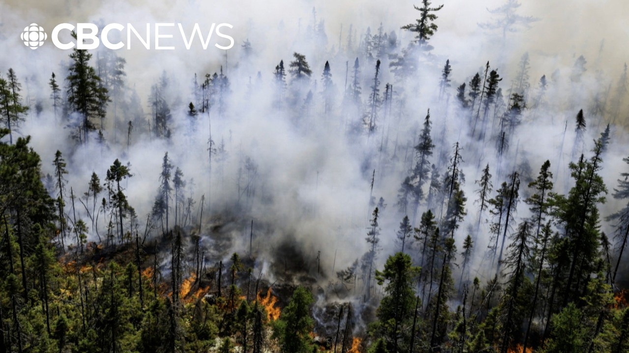 Long Lake wildfire burns homes as more evacuations ordered