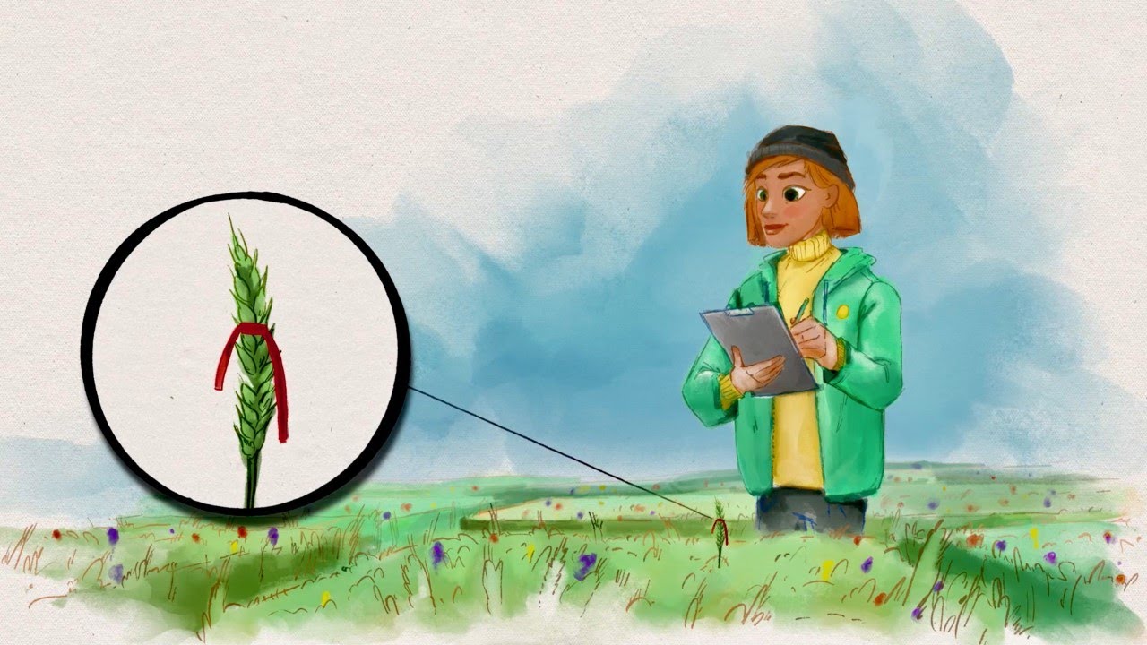 Dlaczego warto zająć się hodowlą ekologiczną?