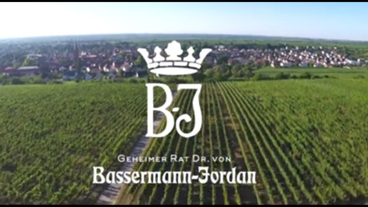 Bassermann-Jordan Weingut, Deisdenheim, Pfalz, GERMANY. VINEYARDS AND DRONE