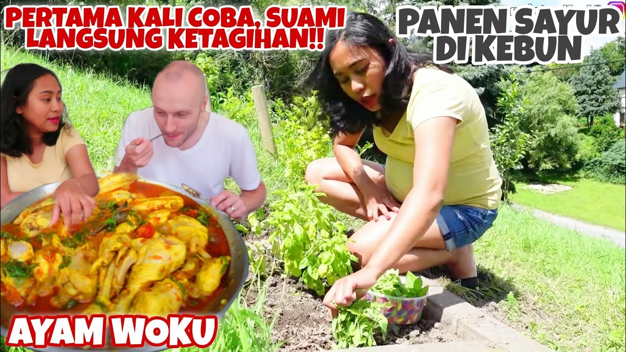 BIKIN AYAM WOKU DARI HASIL PANEN SAYUR DI KEBUNKU