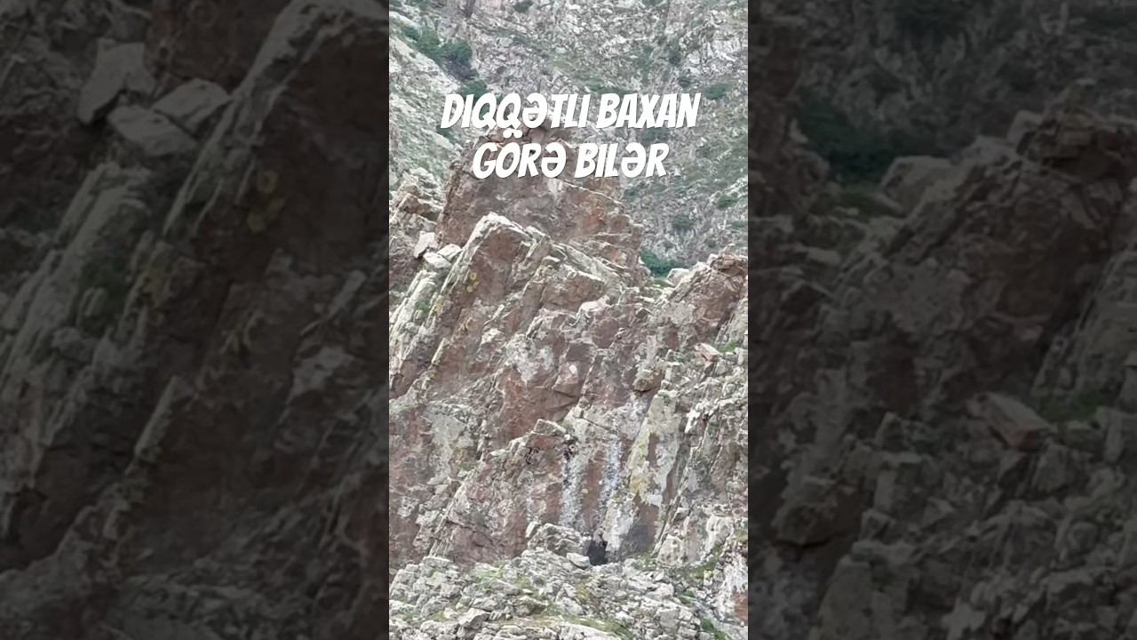 &Ccedil;ox adam qayada Bəbiri g&ouml;rə bilməz /Leopard