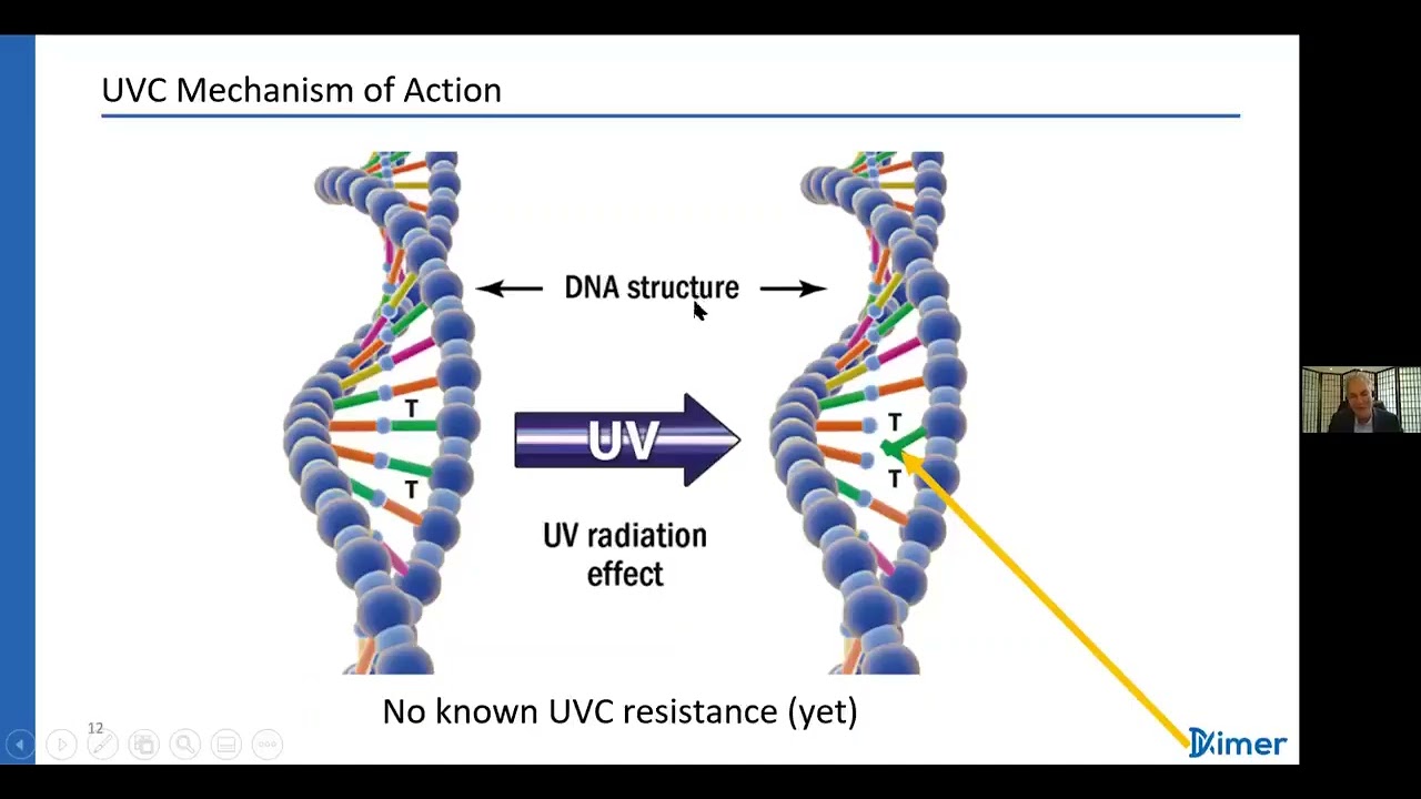 UV Disinfection Theory and Practices