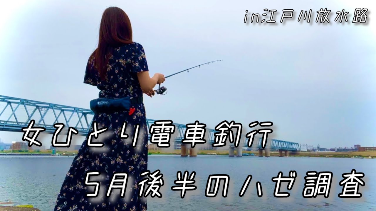 【江戸川放水路】2024年5月後半、女ひとりでハゼ釣り調査に来たら危険な釣行になりました～ちょい投げ釣り～