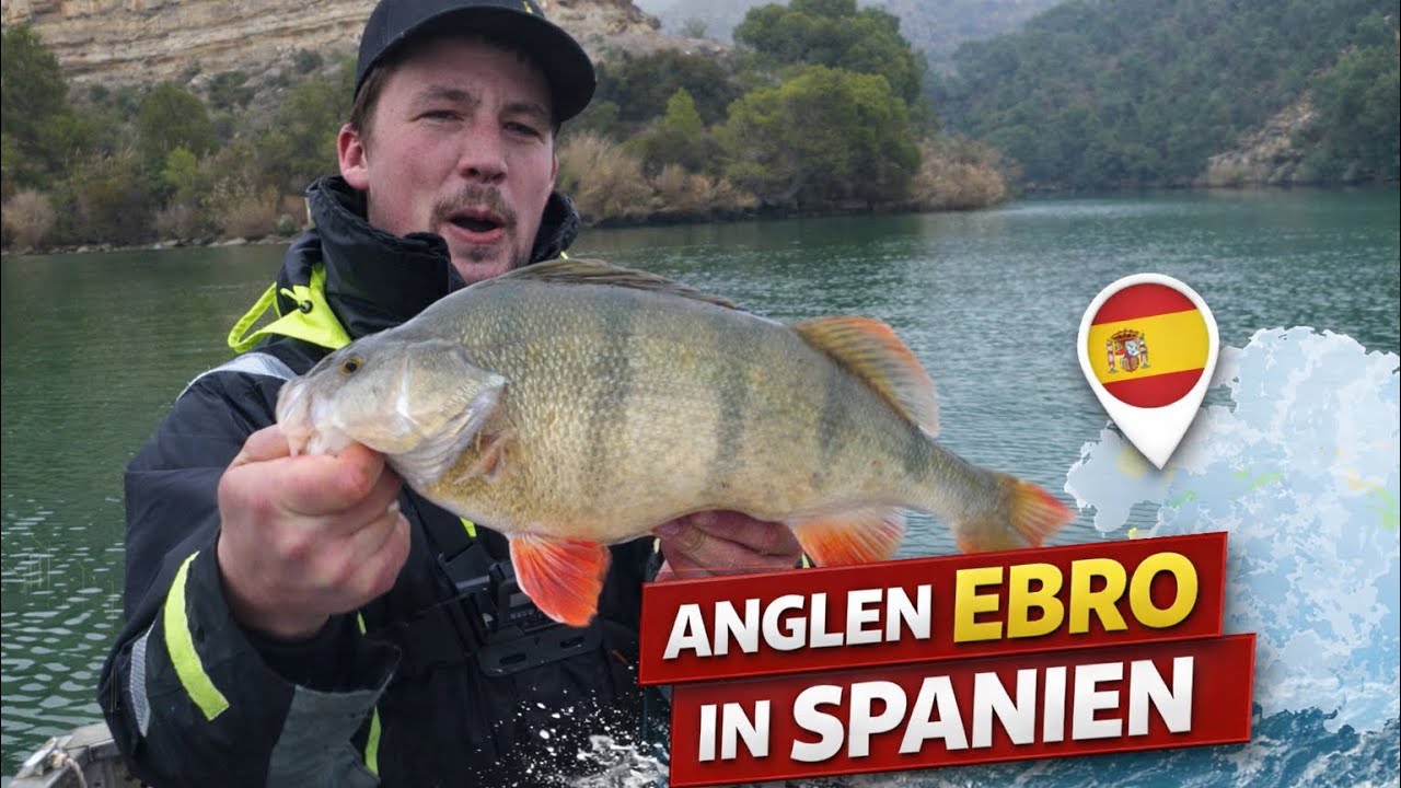 Ebro im Winter: Spinnfischen auf Barsch und Zander 🔈🇩🇪