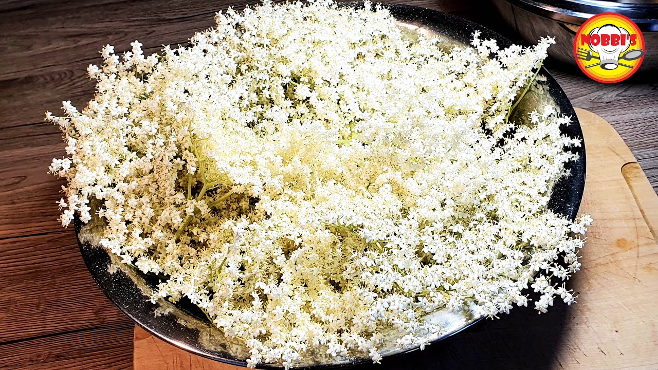 Замечательное желе из бузины! Рецепт | очень легко и всегда получается #463