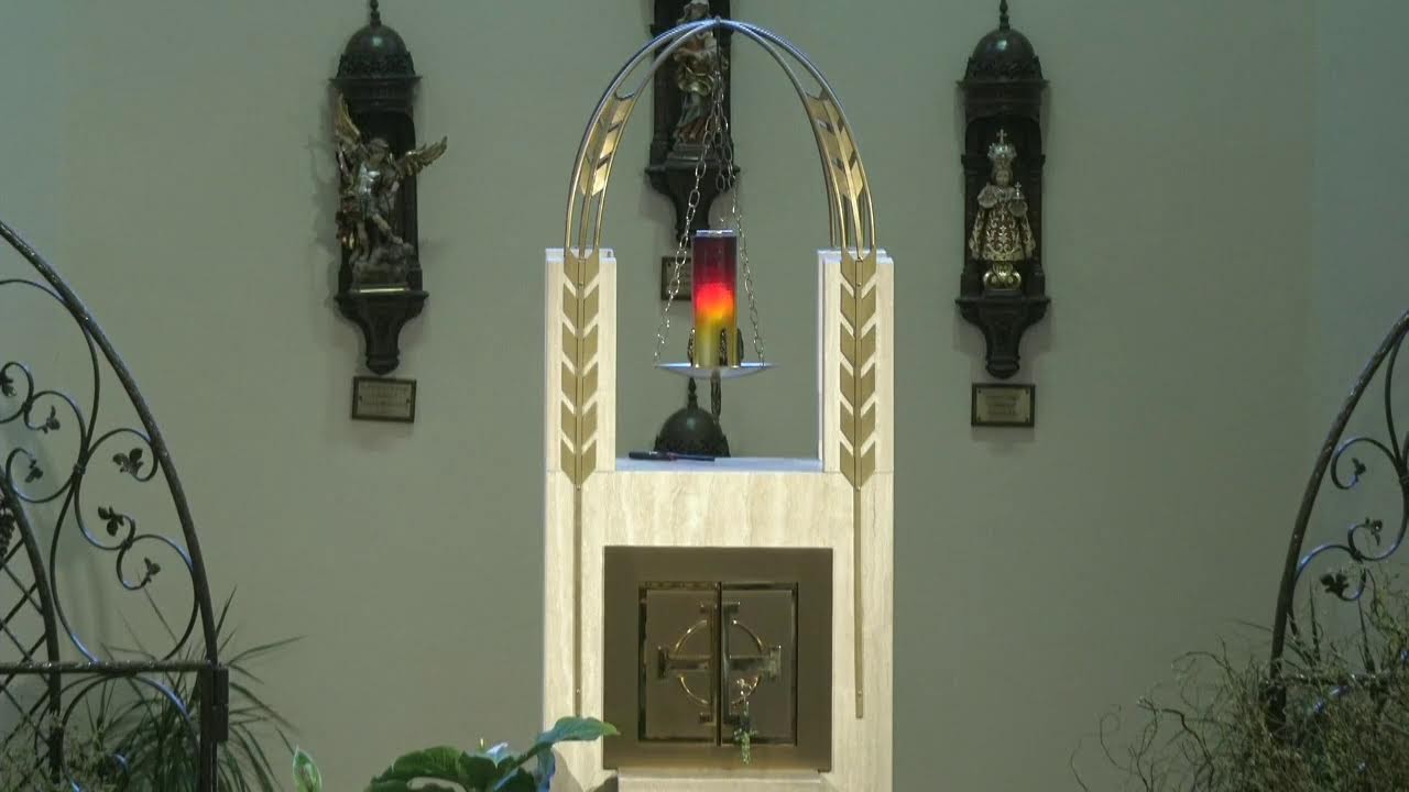 Livestream Mass February 28, 2026