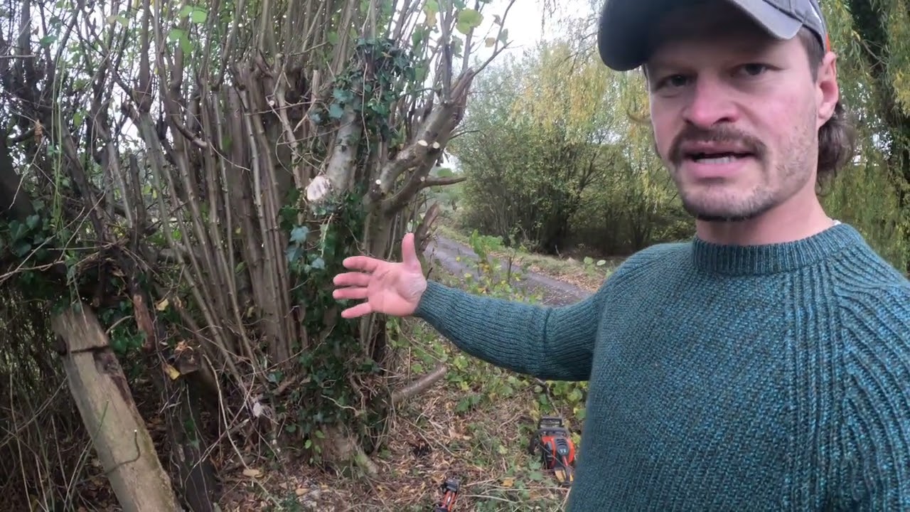 Олень, Огайо Дир