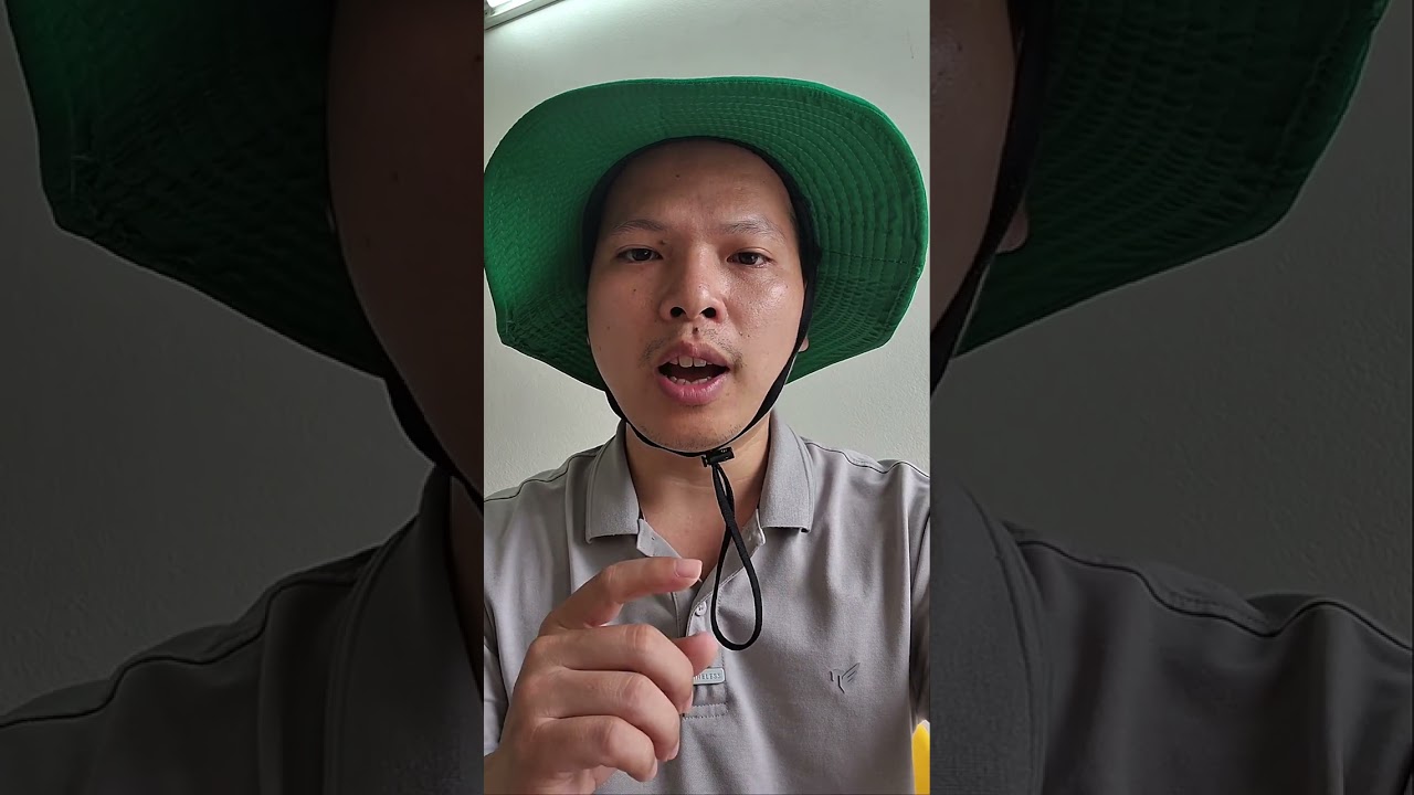 NHIỀU VƯỜN SẦU RIÊNG ĐANG RỤNG HÀNG LOẠT DO SỐC NHIỆT. 0918 456 457- 0375 456 457