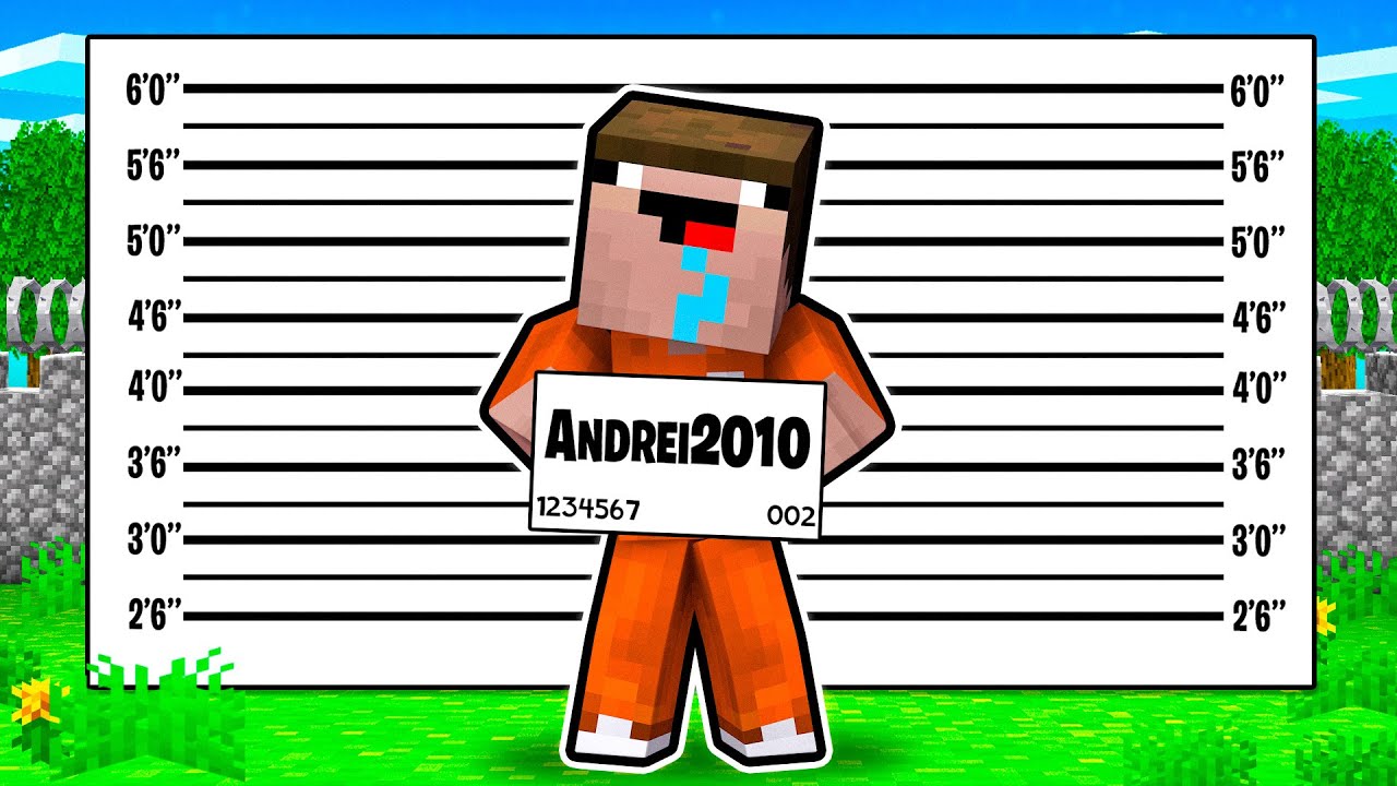 Andrei2010 A Fost Arestat...