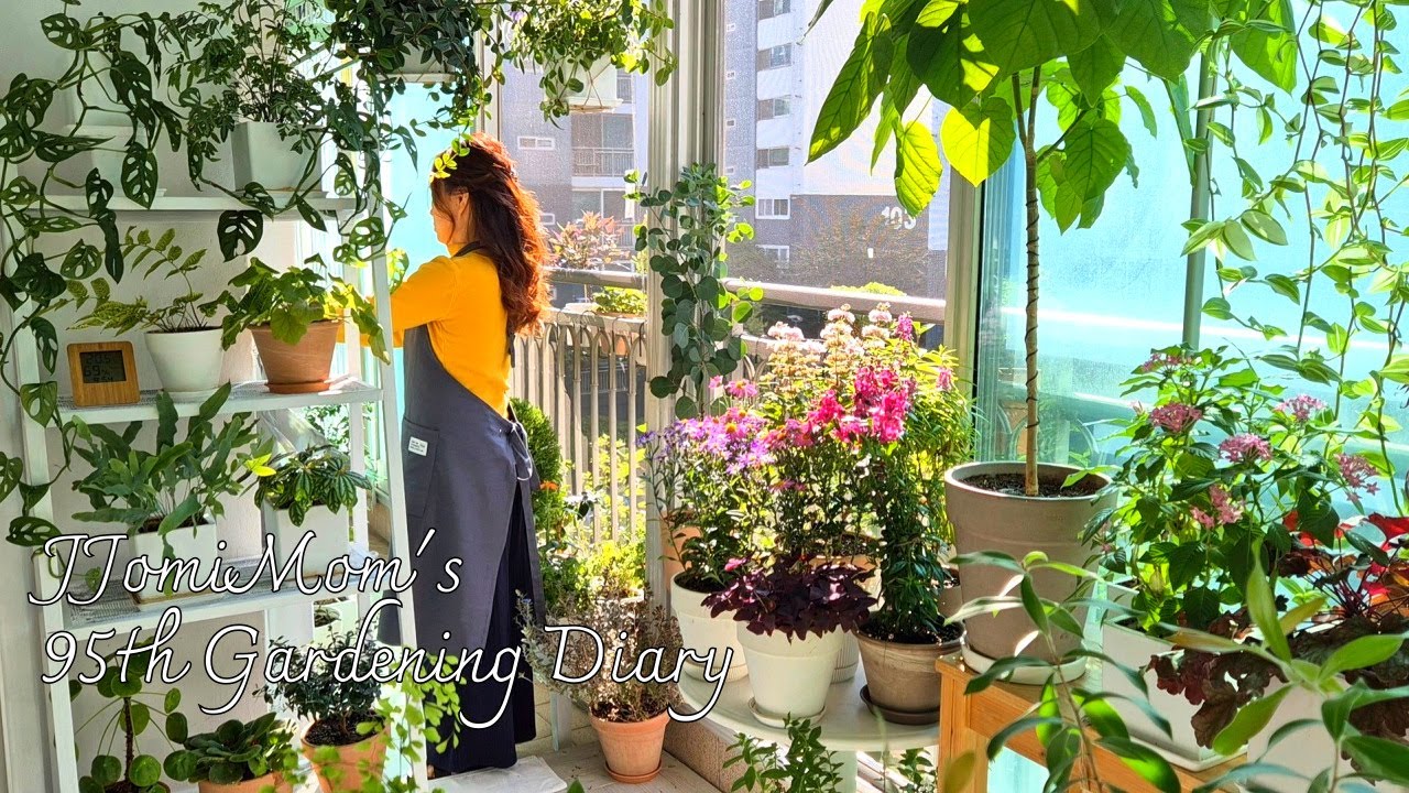 Душевное видео по садоводству/Октябрьский сад на веранде