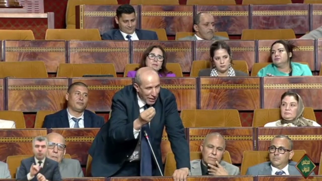 تعقيب إضافي للنائب عبد الحق شفيق على جواب وزير المنتدب لدى رئيس الحكومة المكلف بالإستثمار