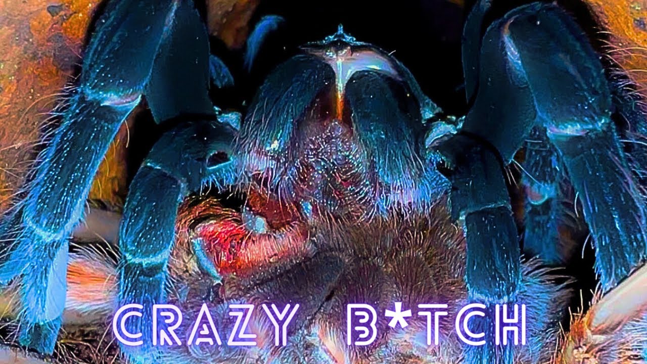 Она его СЪЕЛА!!!