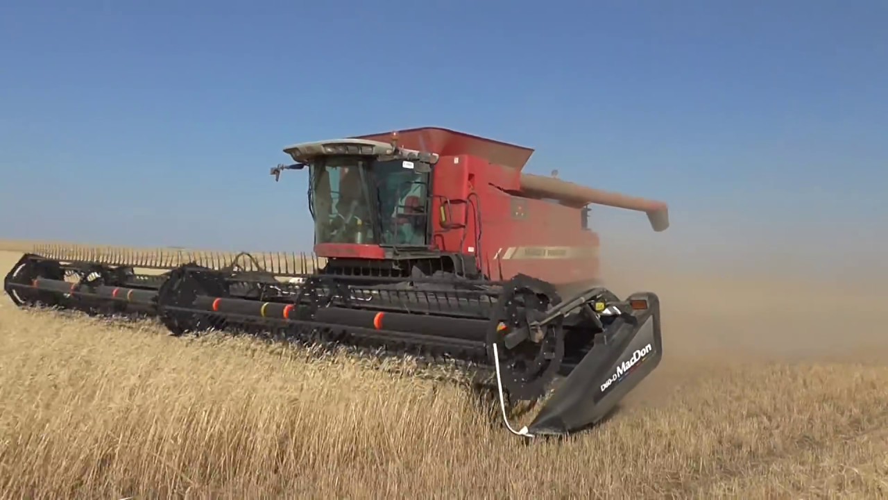 Акрос 590+ с 10,6, Массей Фергюсон 9790 и Клаас Лексион 670 с 12,2 жатками МакДон