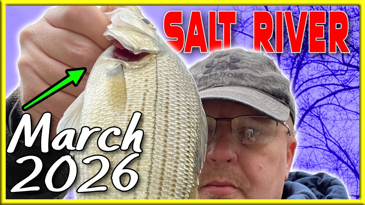 Salt River White Bass Fishing | 2026 Start Of The RUN
