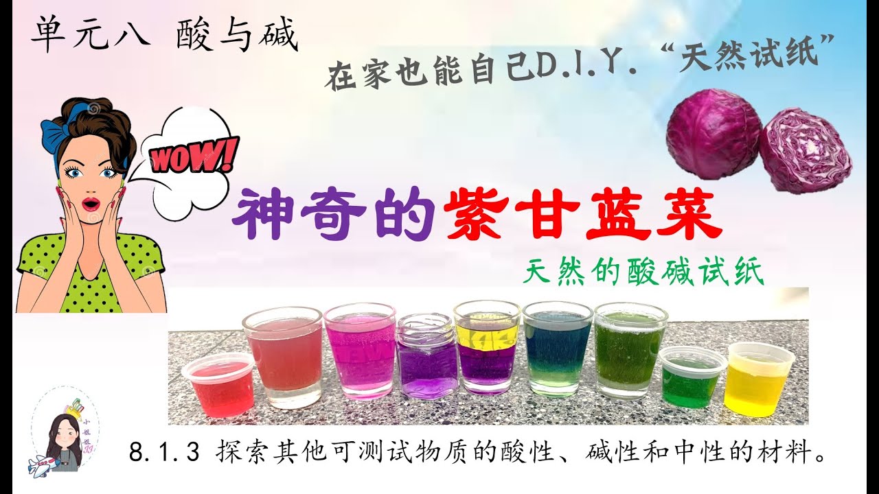 三年级 KSSR Semakan 科学 单元八 酸与碱【测试物质的天然材料】【应用紫甘蓝菜进行物质测试】活动6