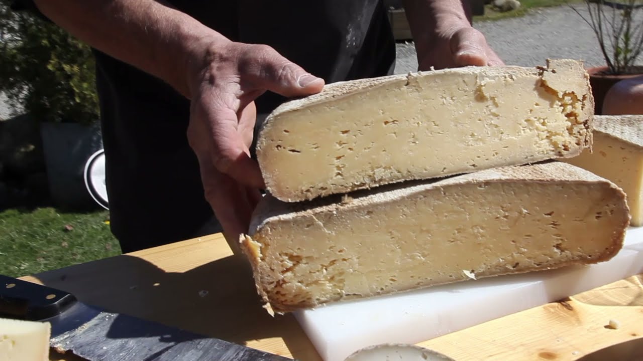 Terres de France - Tomme des Pyrénées