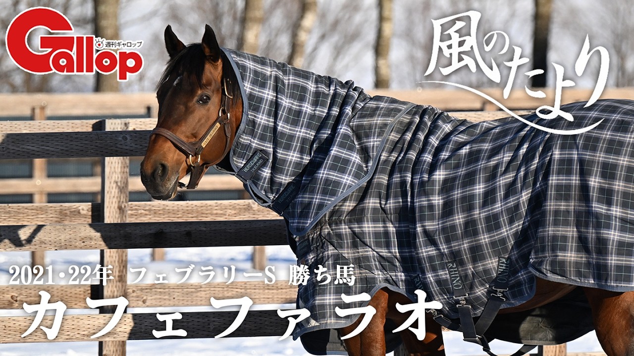 カフェファラオ　2年連続最多種付け頭数【風のたより】
