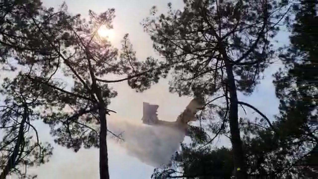 Depuis le front des incendies à la Teste, les canadairs font pleuvoir des trombes d'eau