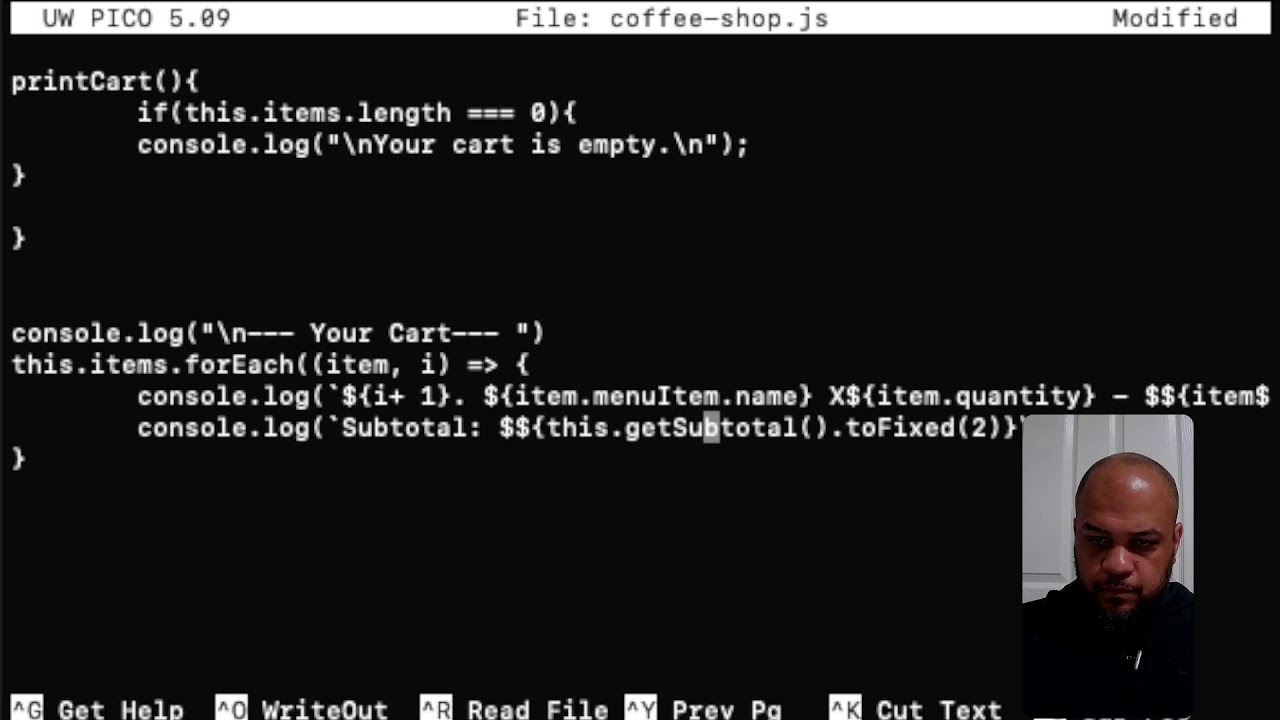 Coding in the terminal | Object Oriented Programning | Javascript | Simple Food ordering menu