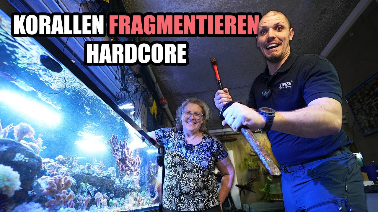 Korallen fragmentieren mit MAMA TUNZE - Es wird Hardcore!