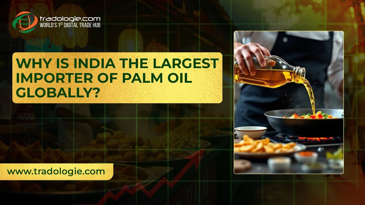 Why India is the World’s Largest Palm Oil Importer | Palm Oil Import Explained 