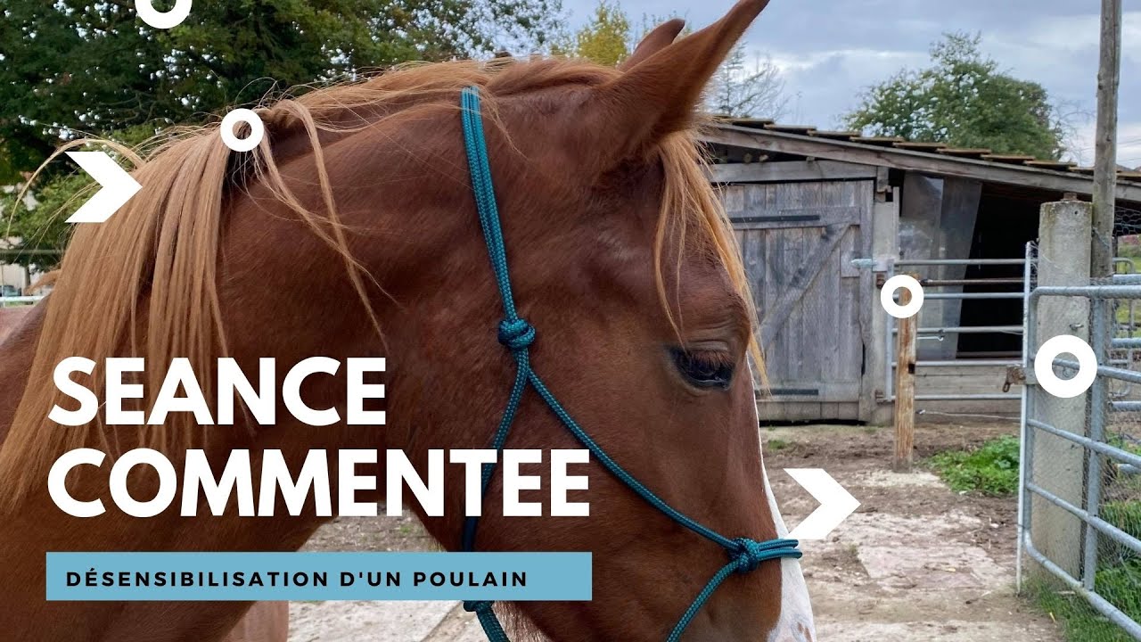 Séance commentée