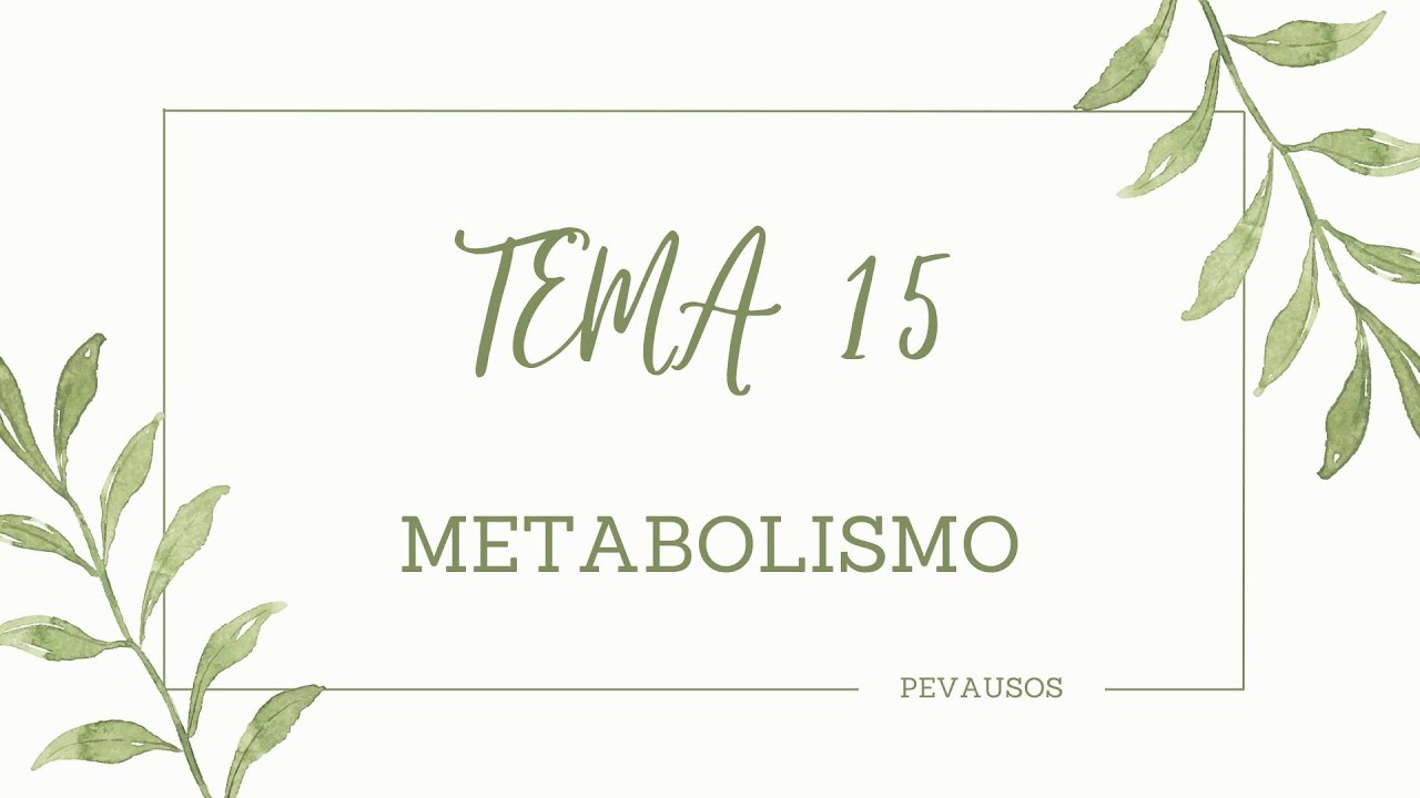 BIOLOGÍA SELECTIVIDAD. METABOLISMO