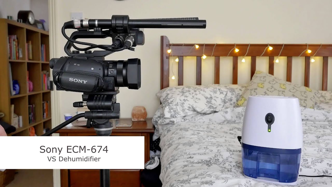 D.G Pictures: Rode NTG-2 & Sony ECM 674 Microphone Comparison