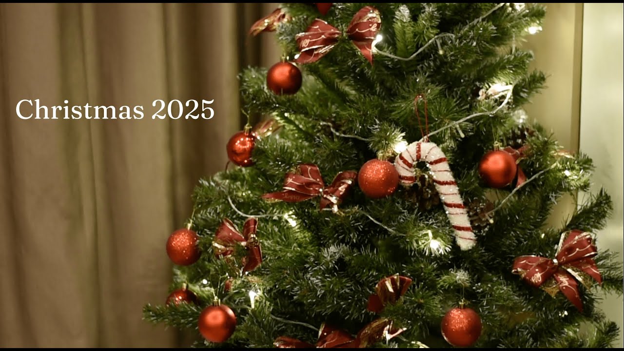 Christmas 2025 | Thói quen buổi sáng, nấu ăn, trang trí cây thông noel !