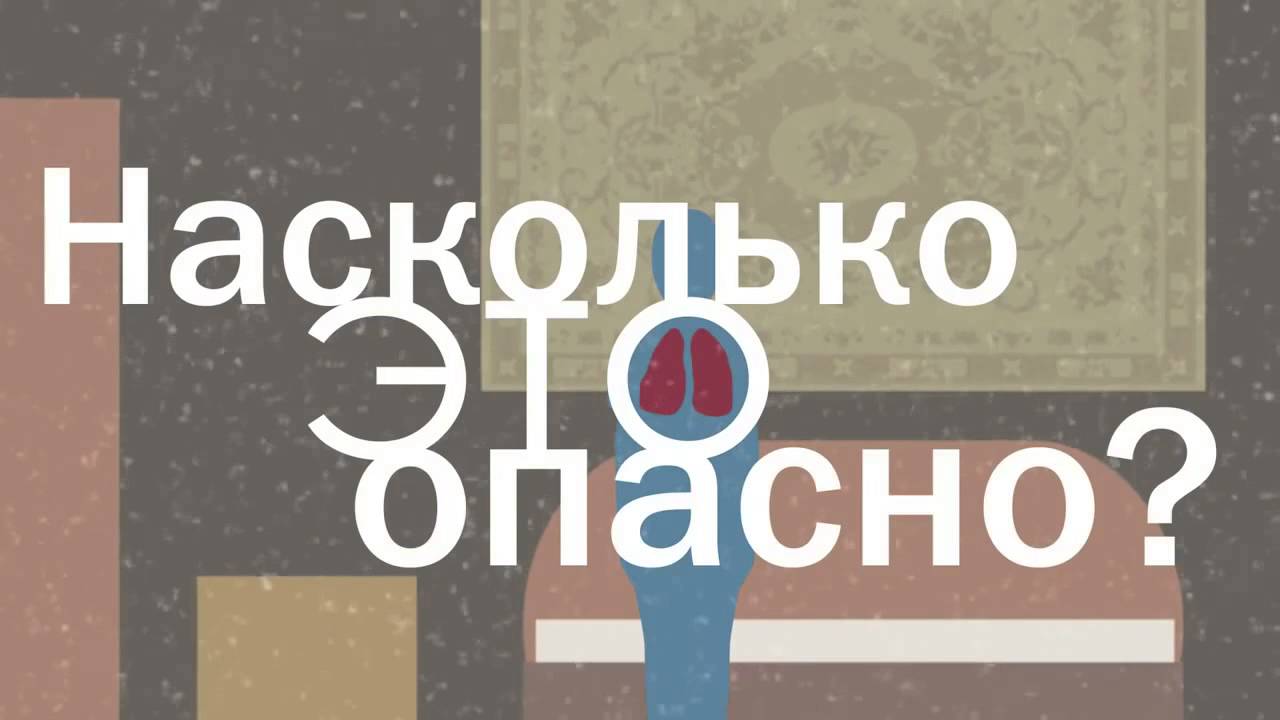 О пыли — как она влияет на нашу жизнь