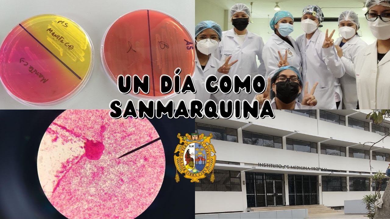 UN DÍA COMO UNIVERSITARIA (UNMSM) , NUEVO SEMESTRE 😓 + VISTA A OTRO MUNDO 🔬