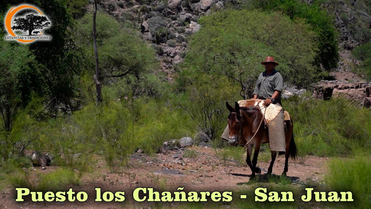 183 Puesto Los Cha&ntilde;ares, San Juan - Estancias y Tradiciones