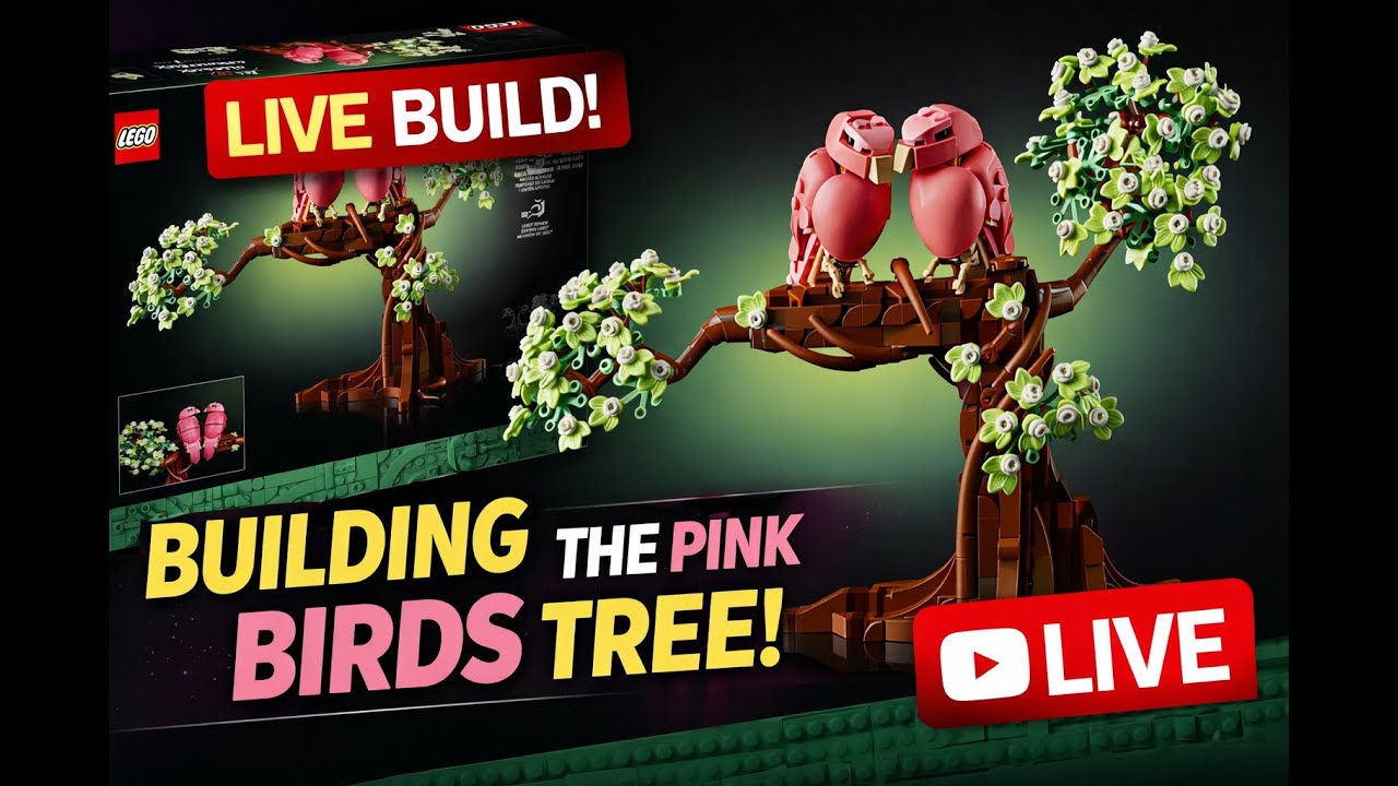 Building the LEGO Love Birds LIVE 💕 | Valentine’s Day Set Build w/ My Wife
