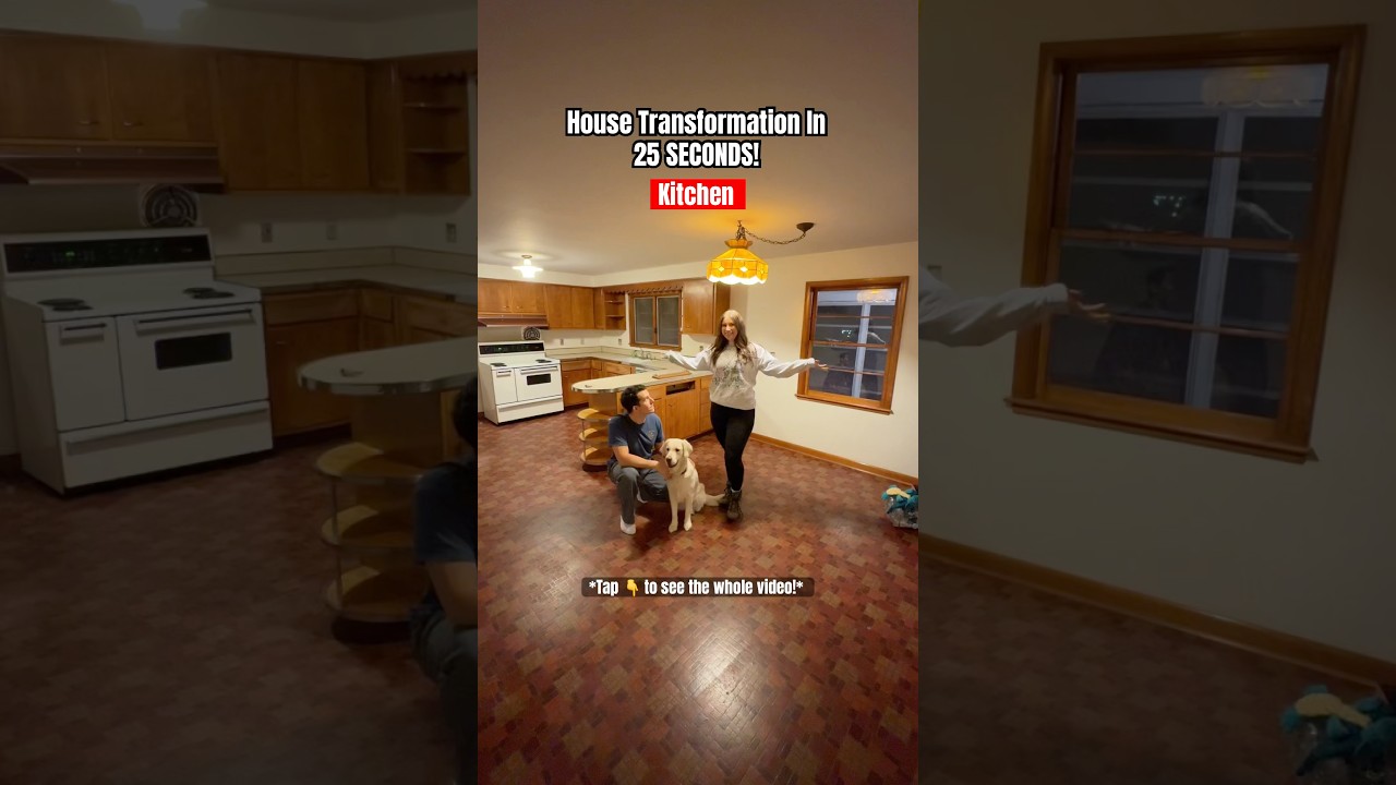 Full House Transformation In 25 Seconds! #shorts #goldenretriever #homeownership