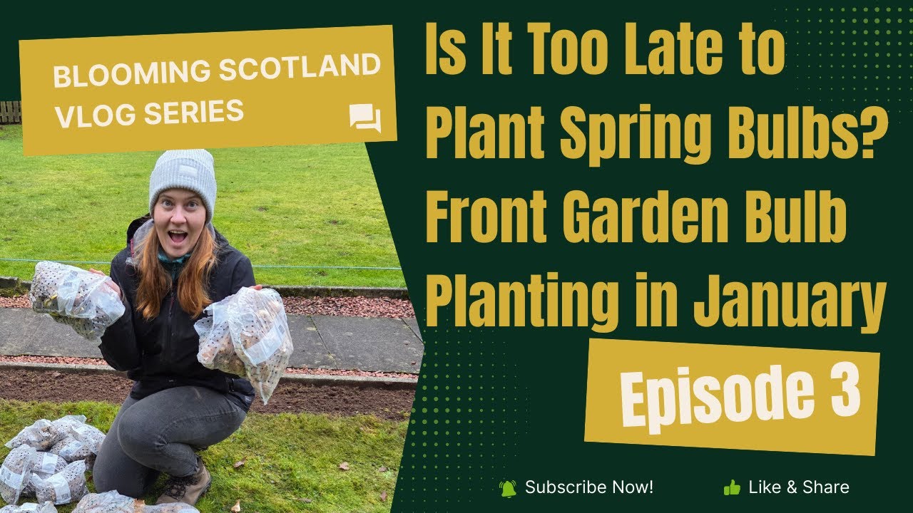 Is It Too Late to Plant Spring Bulbs? Front Garden Bulb Planting in January