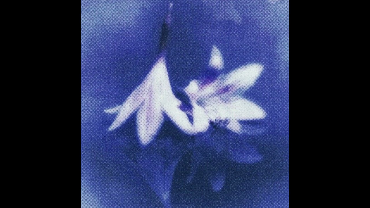 [free] acoustic guitar + no drums type beat 