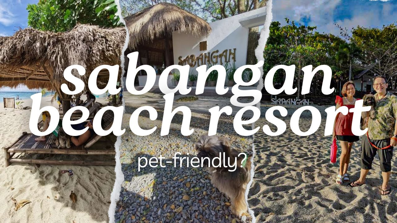 Paw-sitively Perfect: Pet-Friendly Features of Sabangan Beach Resort