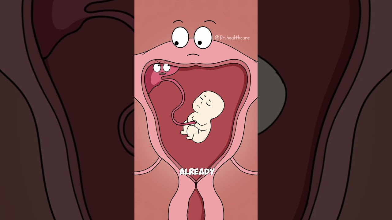 Hidden Risks of Driving with Seatbelts During Pregnancy