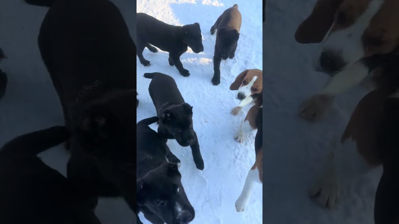 Сегодня какое то февраля 🥰