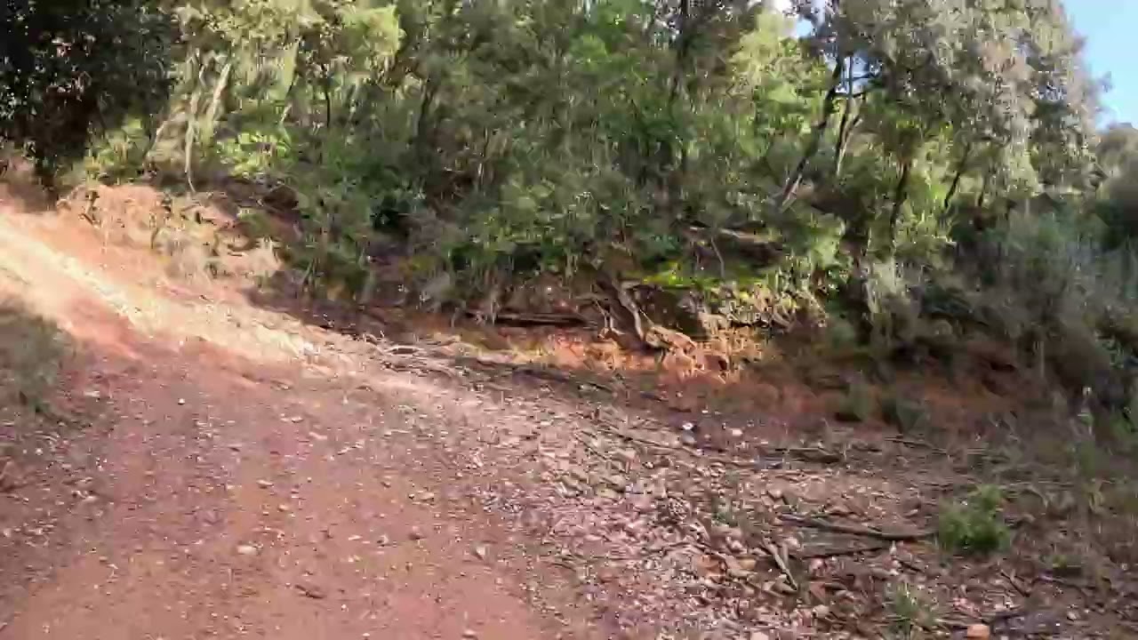 ·coll de la creueta· 2602