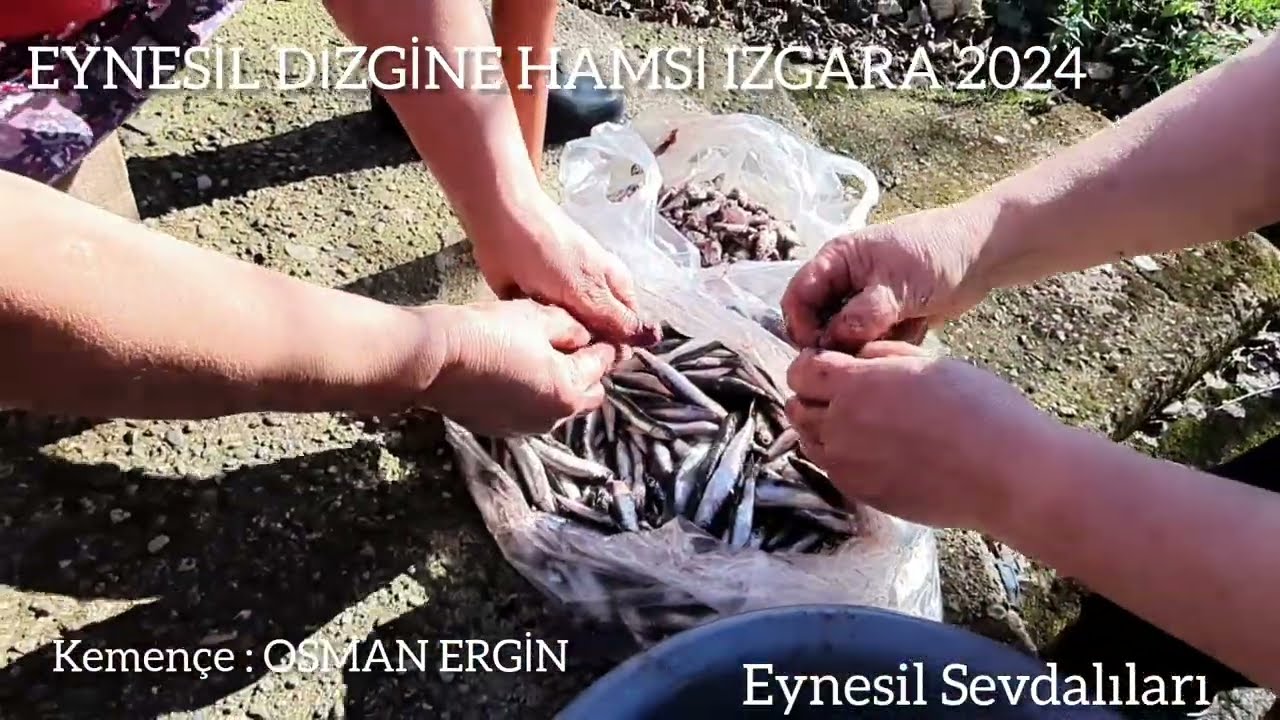 EYNESİL DİZGİNE HAMSİ IZGARA 2024
