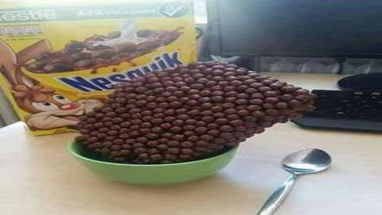 Videos I Found on Reddit #73