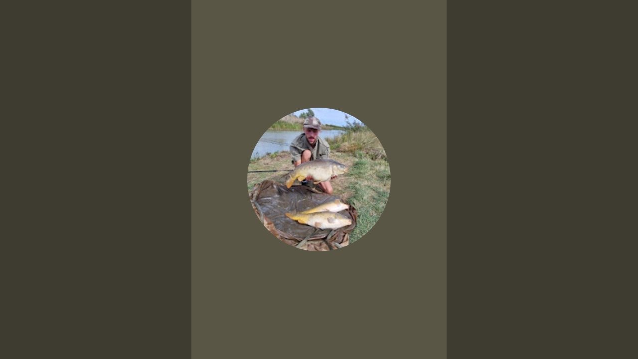 Monster Carp is live