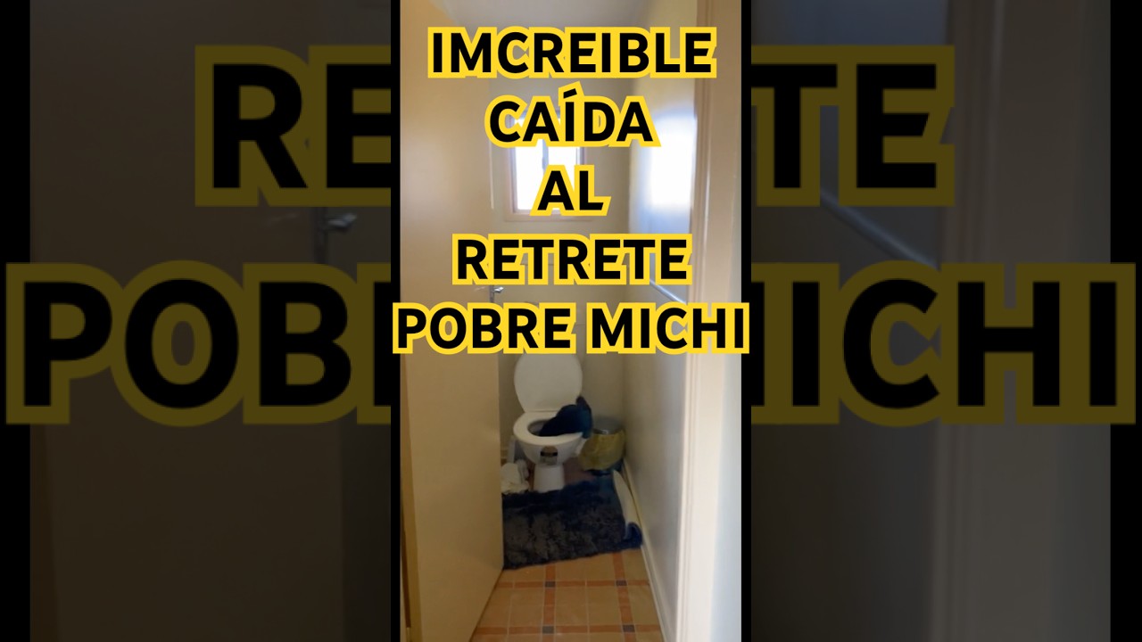 EL GATO PATO #humor #risa #parati #shortsviral #gatitos #perritos #perrosgraciosos #gatitostiernos