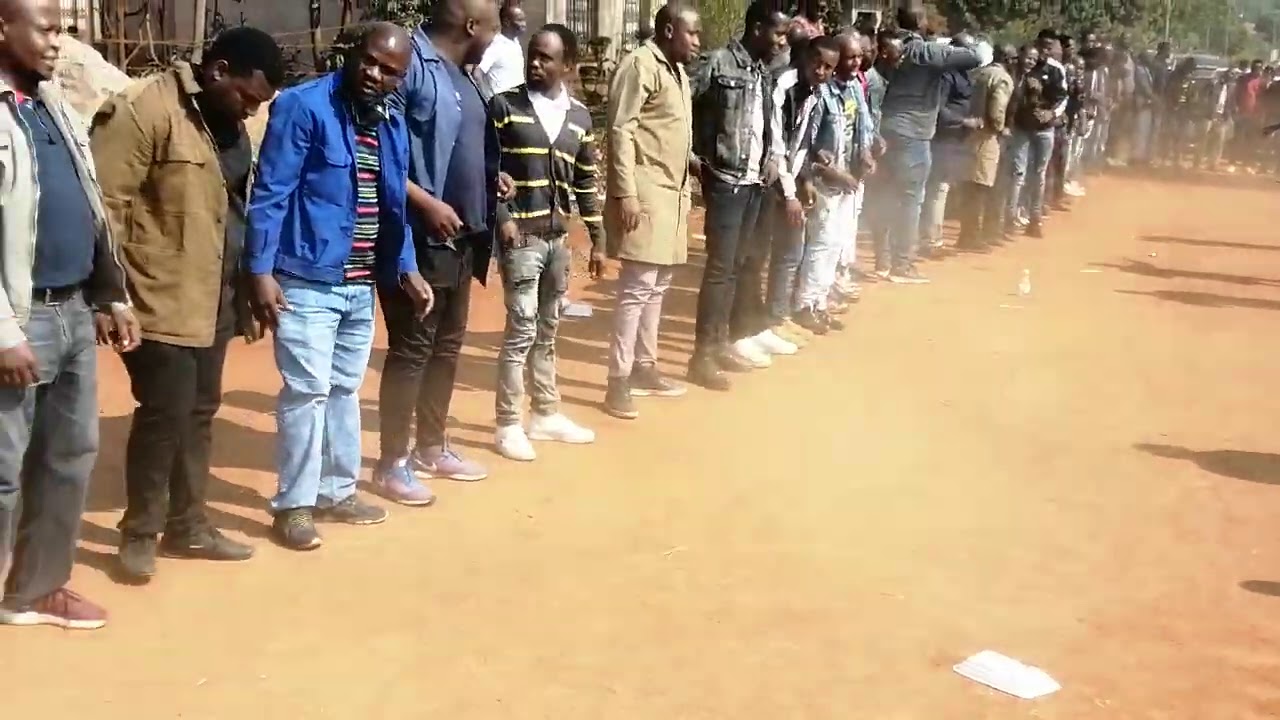 Kosha ya ivory le tshisaulu