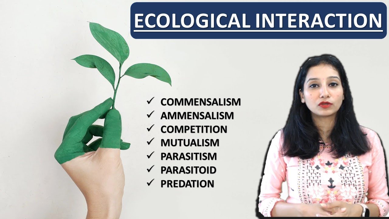 Ecological Interaction I Species Interaction I Organism & Population Ecology Population Interaction