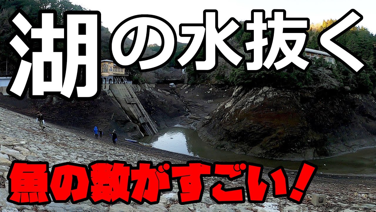 耐震工事で22年ぶりに鎌北湖の水を抜いた結果…
