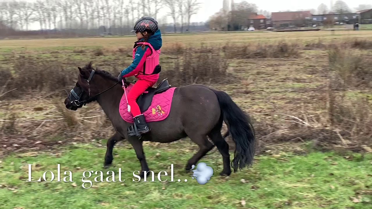 Wauw Bobbie.. ondeugend op buitenrit maar braaf in de bak